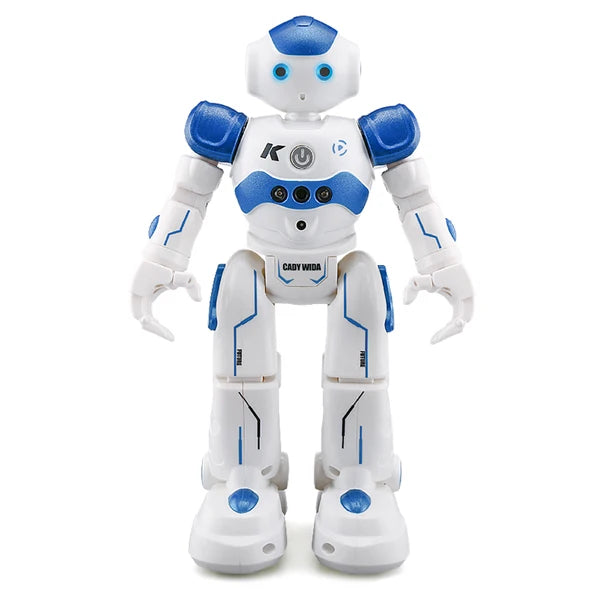 Robot Intelligent