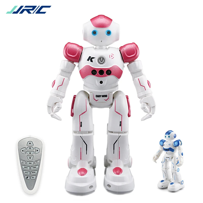 Robot Intelligent
