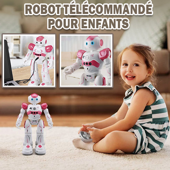 Robot Intelligent