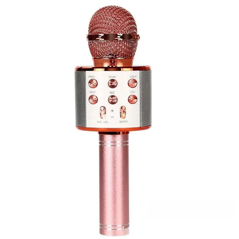 Wireless Bluetooth Karaoke Microphone , Karaoke Mic Speaker With Adjustable Remix FM Radio for Kids Girls Boys Teens Birthday