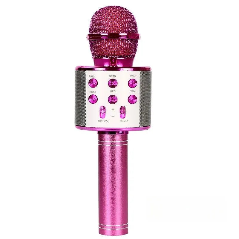 Wireless Bluetooth Karaoke Microphone , Karaoke Mic Speaker With Adjustable Remix FM Radio for Kids Girls Boys Teens Birthday