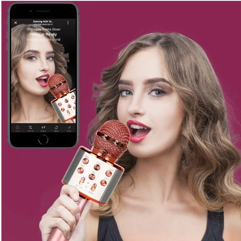 Wireless Bluetooth Karaoke Microphone , Karaoke Mic Speaker With Adjustable Remix FM Radio for Kids Girls Boys Teens Birthday